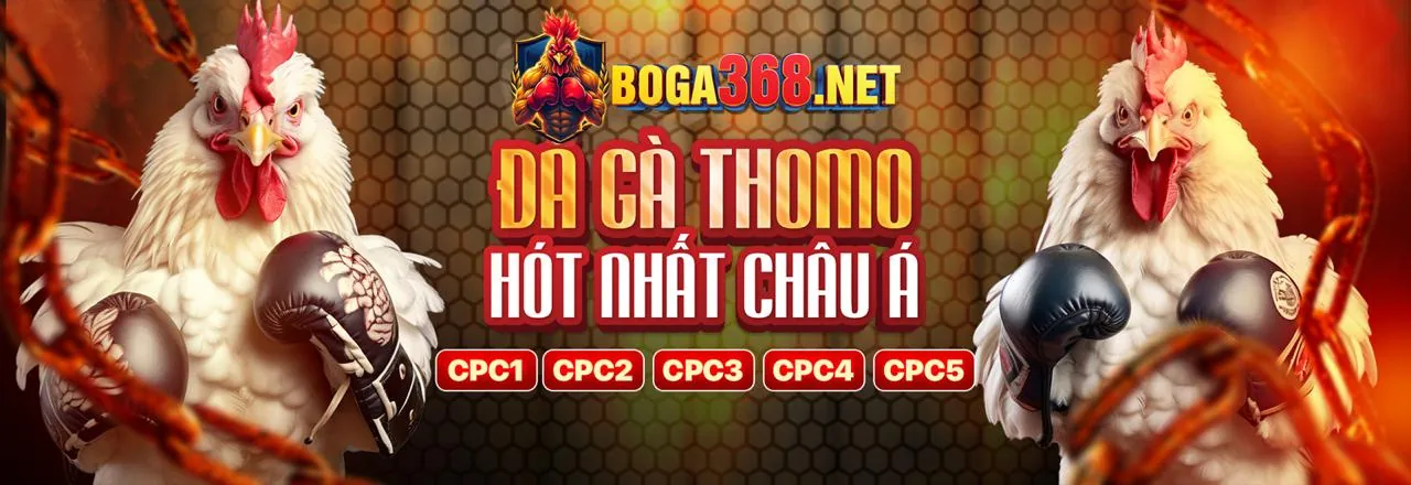 Tổng quan các tính năng của ứng dụng 88 Vin